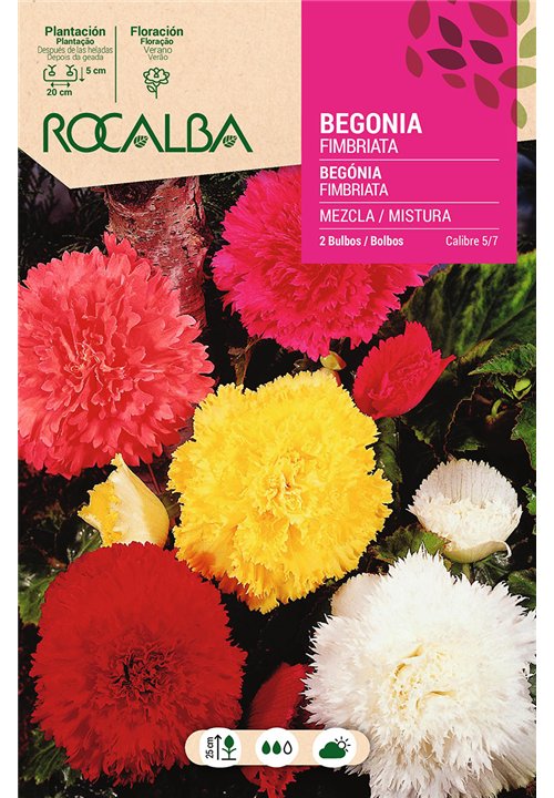 FIMBRIATA -MEZCLA DE COLORES