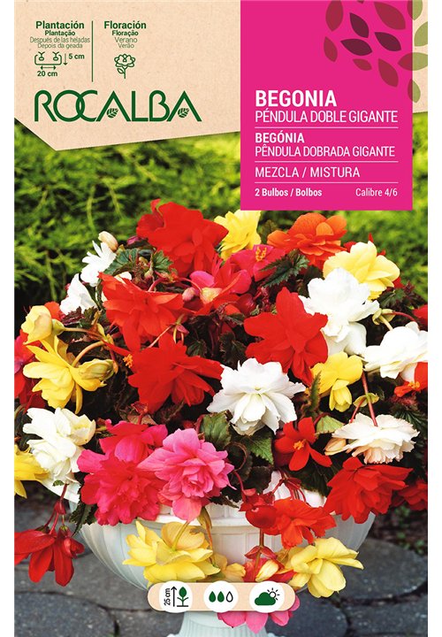 PENDULA DOBLE GIGANTE -MEZCLA DE COLORES