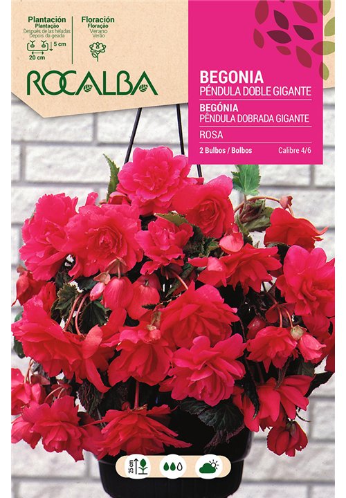 PENDULA DOBLE GIGANTE -ROSA