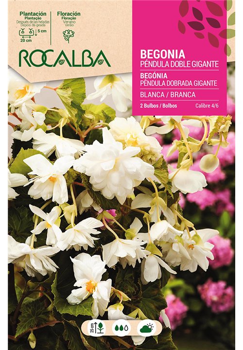 PENDULA DOBLE GIGANTE -BLANCO