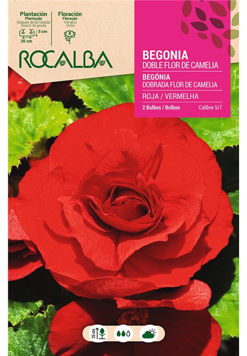 DOBLES FLOR DE CAMELIA -ROJO OSCURO