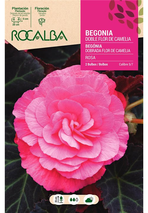 DOBLES FLOR DE CAMELIA  -ROSA