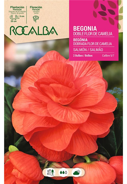 DOBLES FLOR DE CAMELIA -SALMON