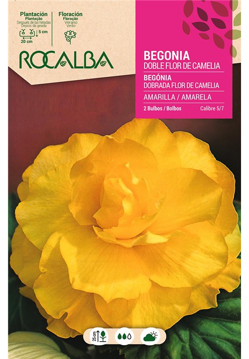 DOBLES FLOR DE CAMELIA -AMARILLO