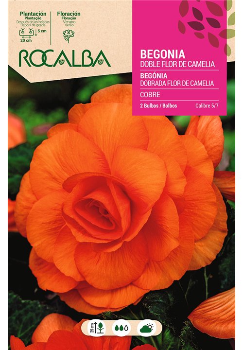 DOBLES FLOR DE CAMELIA -COBRE