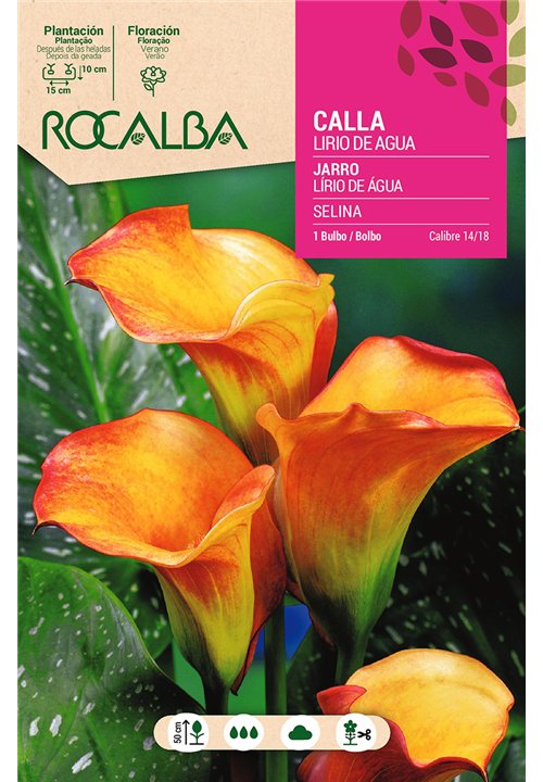 SELINA -AMARILLO CON ROJO