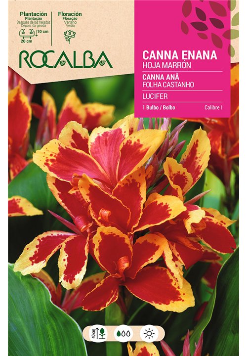 LUCIFER -ROJO INTENSO, BORDE AMARILLO