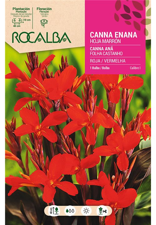 CANNAS  -ROJO