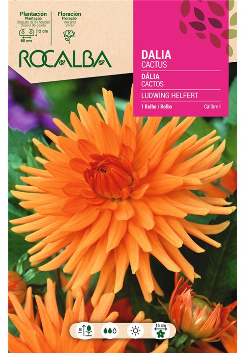 LUDWIG HELFERT -NARANJA