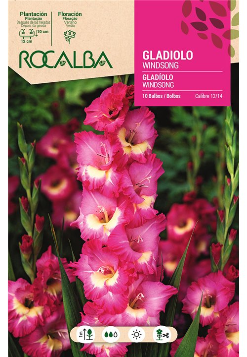 WINDSONG -ROSA LAVANDA,CENTRO CREMA