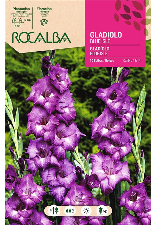 BLUE ISLE -AZUL OSCURO