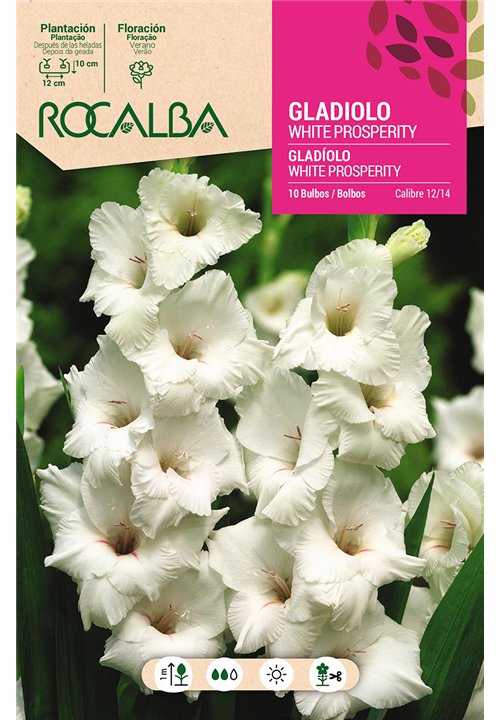 WHITE PROSPERITY -BLANCO