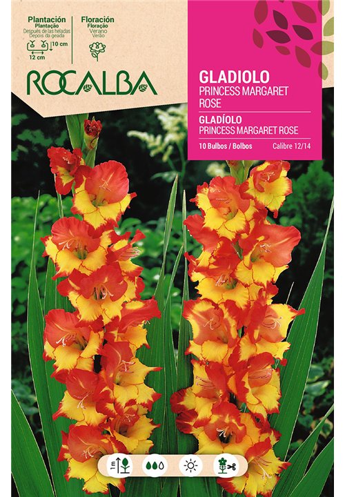 PRINCESS MARGARET ROSE-SALMON,B.AMARILLO