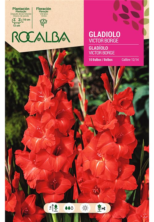 VICTOR BORGE -ROJO, MACULA BLANCA