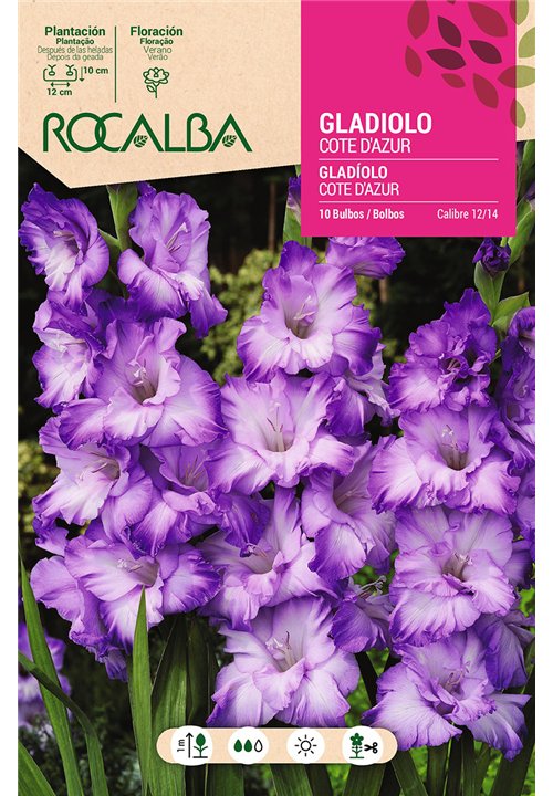 COTE D'AZUR -AZUL CELESTE