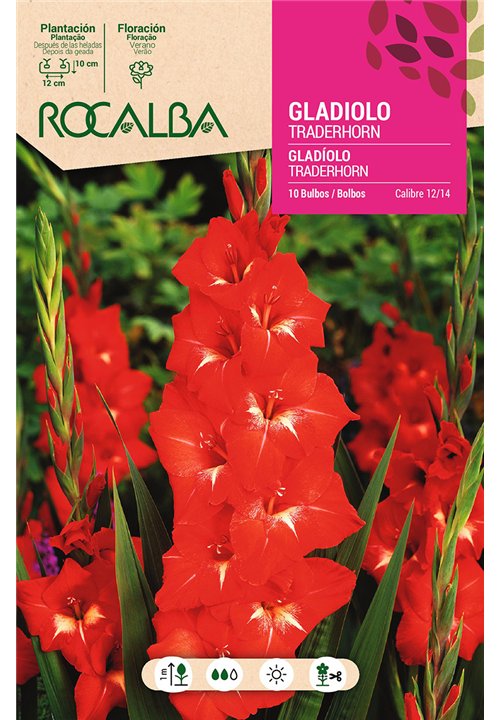 TRADERHORN -ESCARLATA, MACULA BLANCA