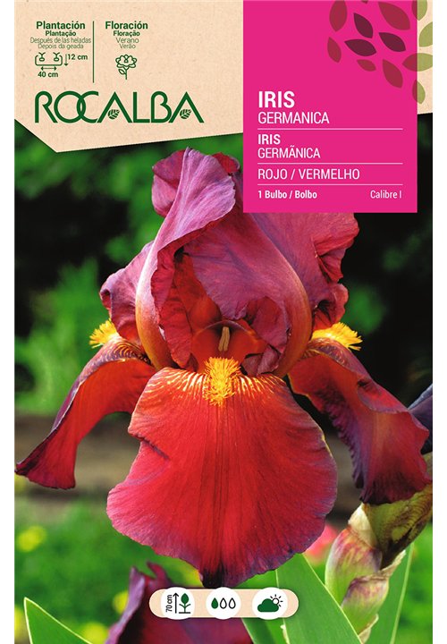 IRIS -ROJO