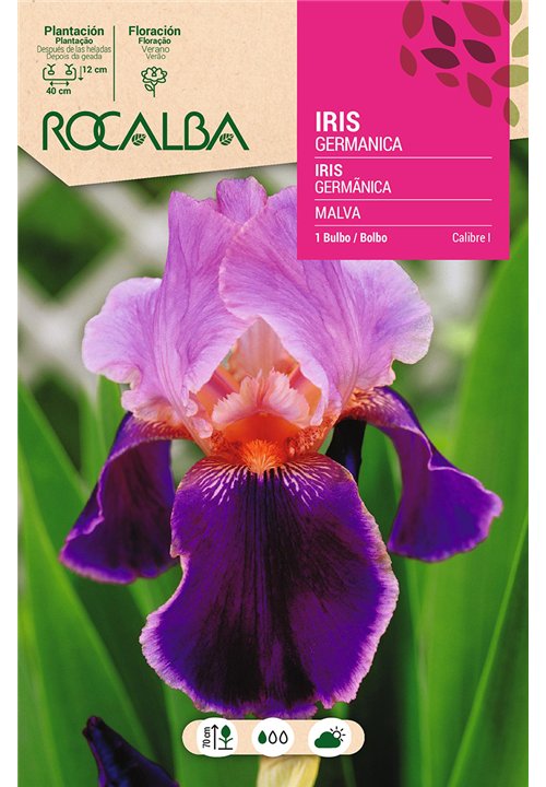 IRIS-MALVA