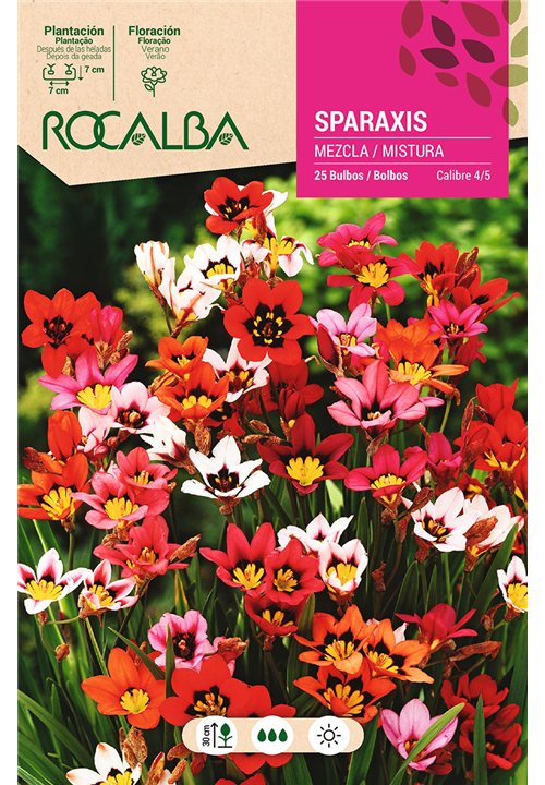 SPARAXIS -MEZCLA DE COLORES