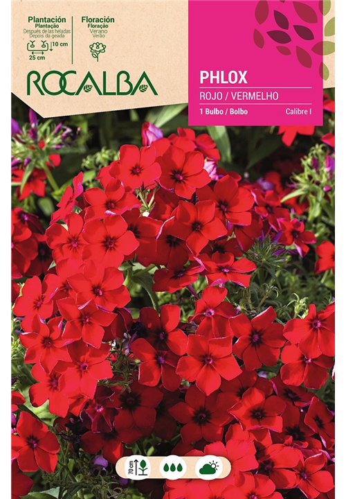 PHLOX -ROJO