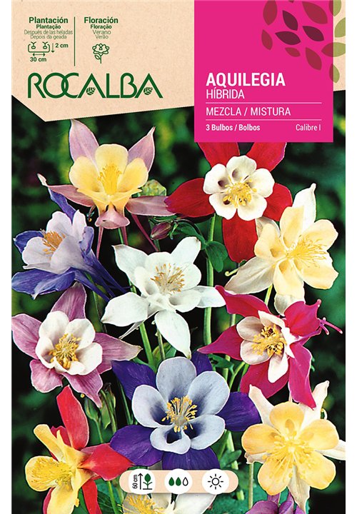 AQUILEGIA HIBRIDA -MEZCLA DE COLORES