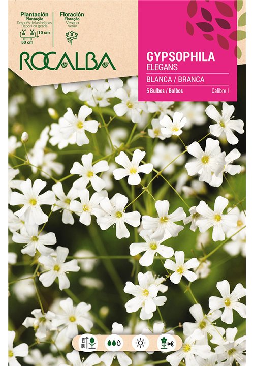 ELEGANS -BLANCA FLOR GRANDE