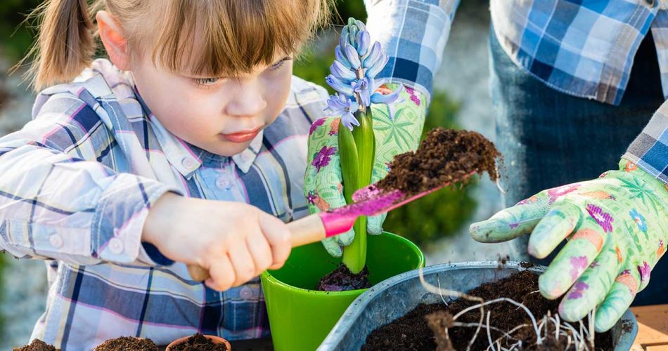 Plantas-que-los-niños-pueden-cuidar