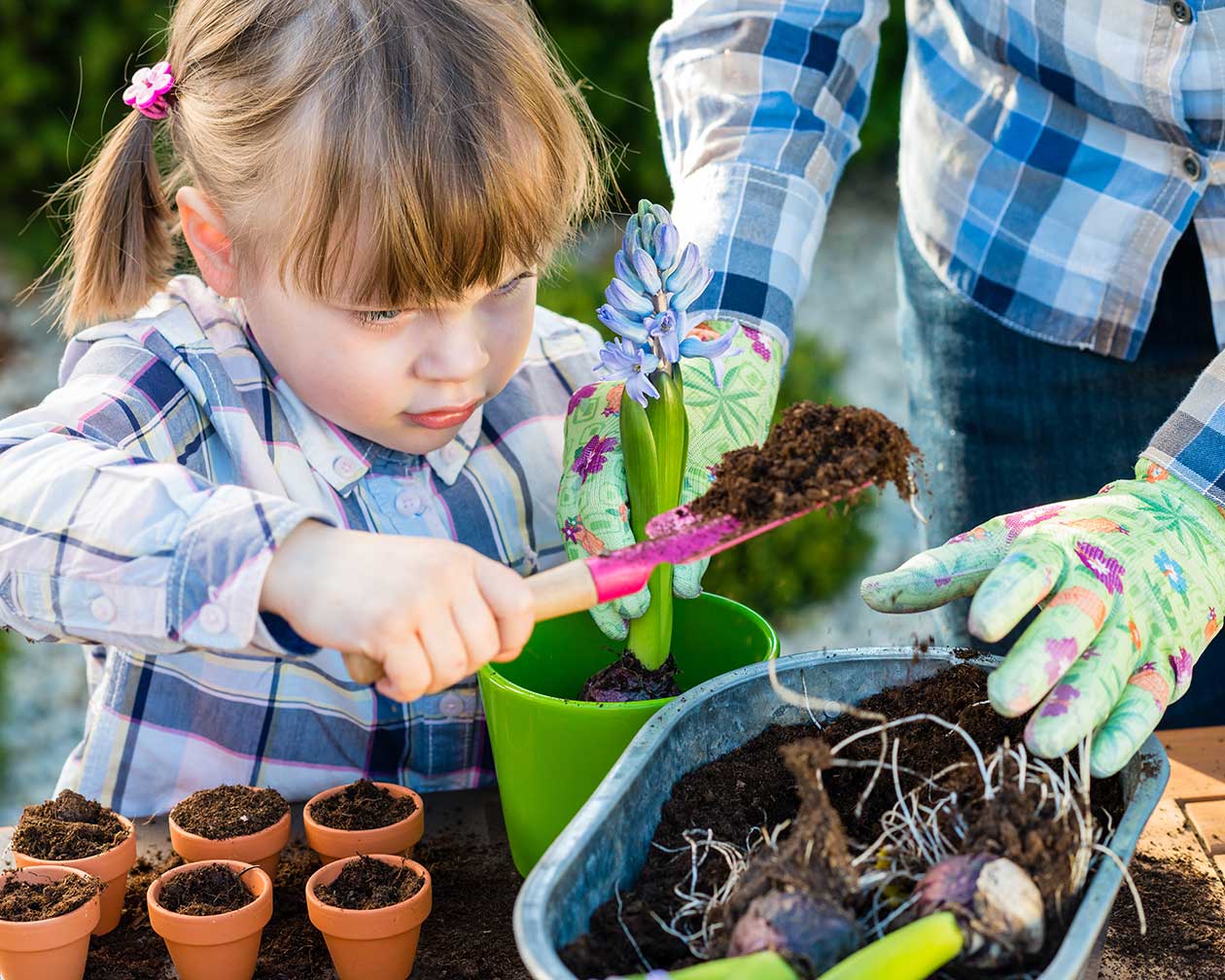 Plantas que los niños pueden cuidar – El Blog de Rocalba