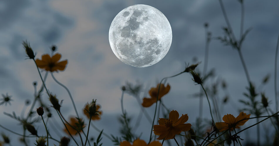 ciclos-lunares-huerto-rocalba