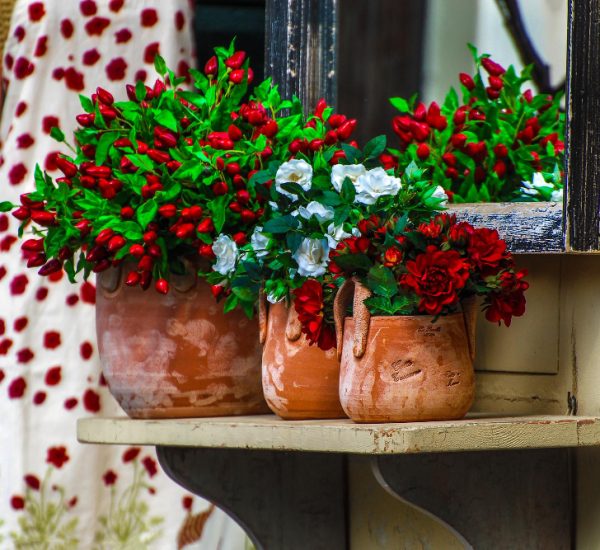 imagen de macetas de barro con flores