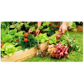 Gartenbau und Gartenarbeit