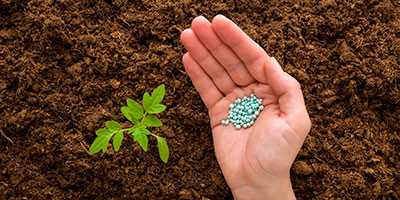 Fertilizantes granulados