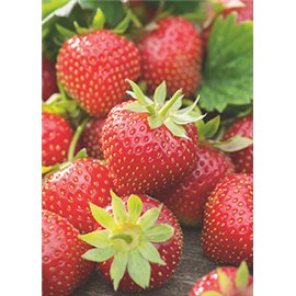 FRESONES Y FRESAS DEL BOSQUE