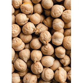 GARBANZOS Y LENTEJAS