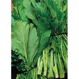 NABOS, GRELOS, COLINABOS Y NABICOLES