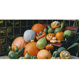 Pumpkins