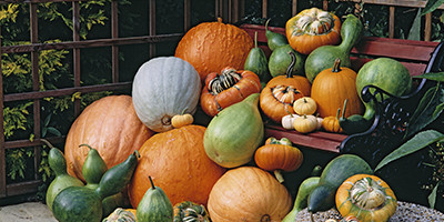 Pumpkins