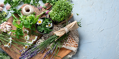 Plantes aromatiques et médicinales