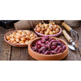 Cebollas, ajos y espárragos