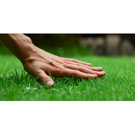 Fórmulas preparadas